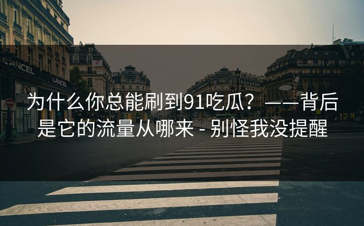 为什么你总能刷到91吃瓜？——背后是它的流量从哪来 - 别怪我没提醒